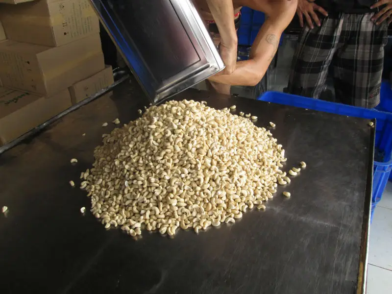 Vietnam Cashew Nuts W180, W210, W240, W320, W450, WS, LP, SP,  BB with Reasonable price