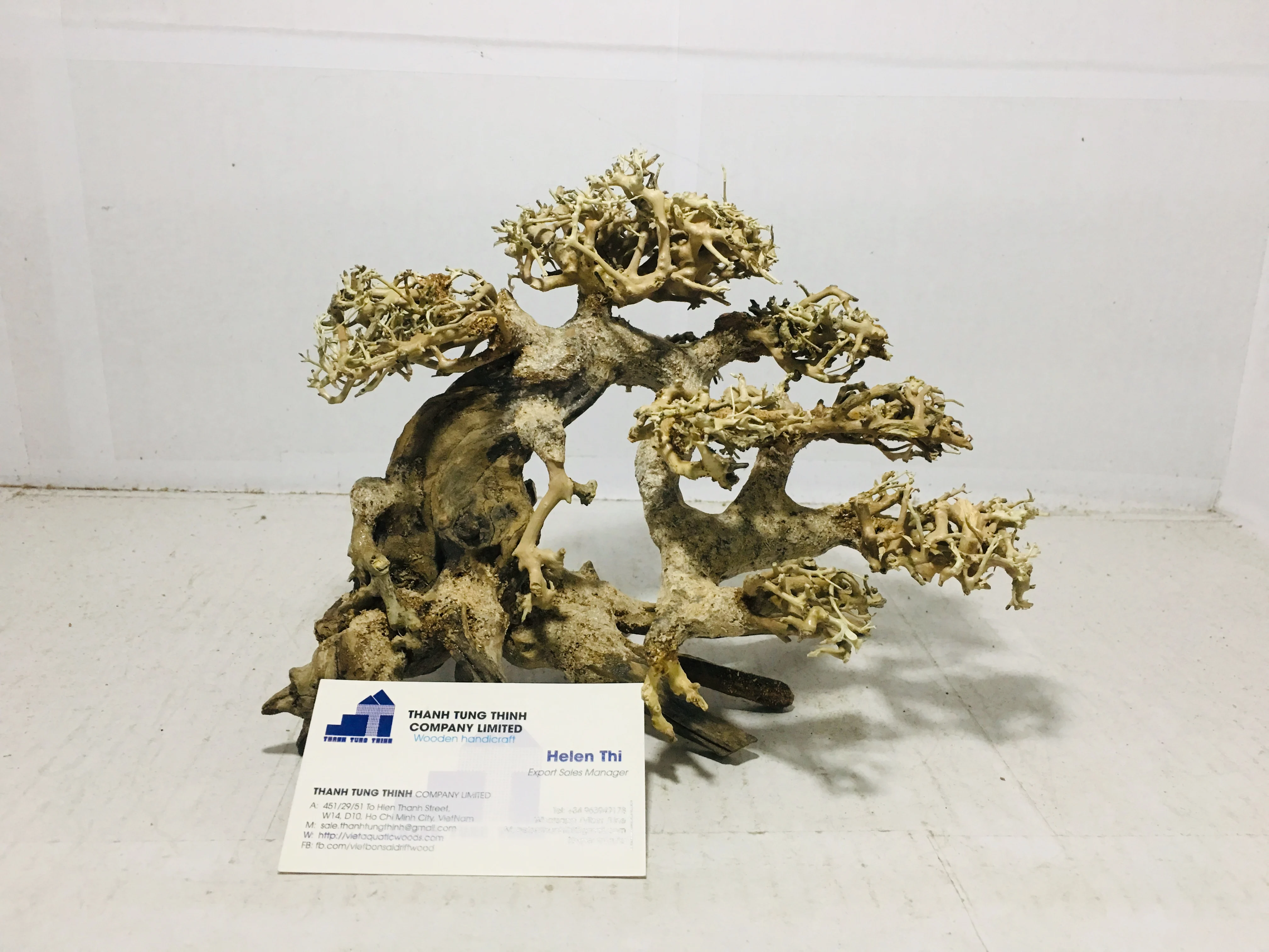 Hot Items 2023 Aquarium Decoration Trunk Shape Bonsai Driftwood for Fish Tank Ornaments WhatsApp +84 961005832