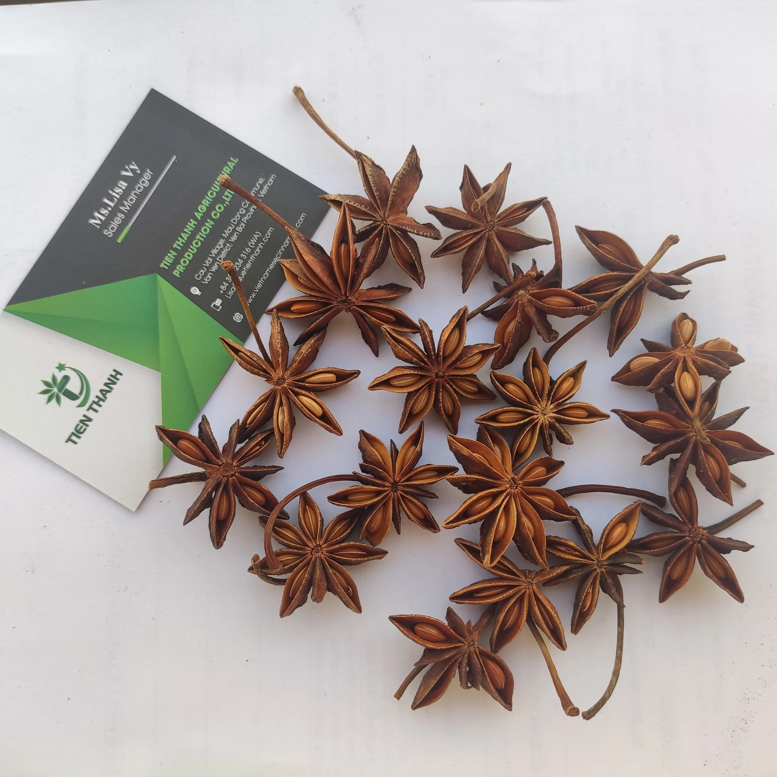 Whole Autumn Star Aniseed/ Organic Star Anise/ Spring Illicium Verum New Crop 2022