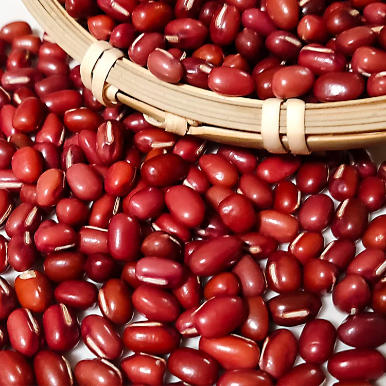 Adzuki Bean Jelly Dessert Yokan