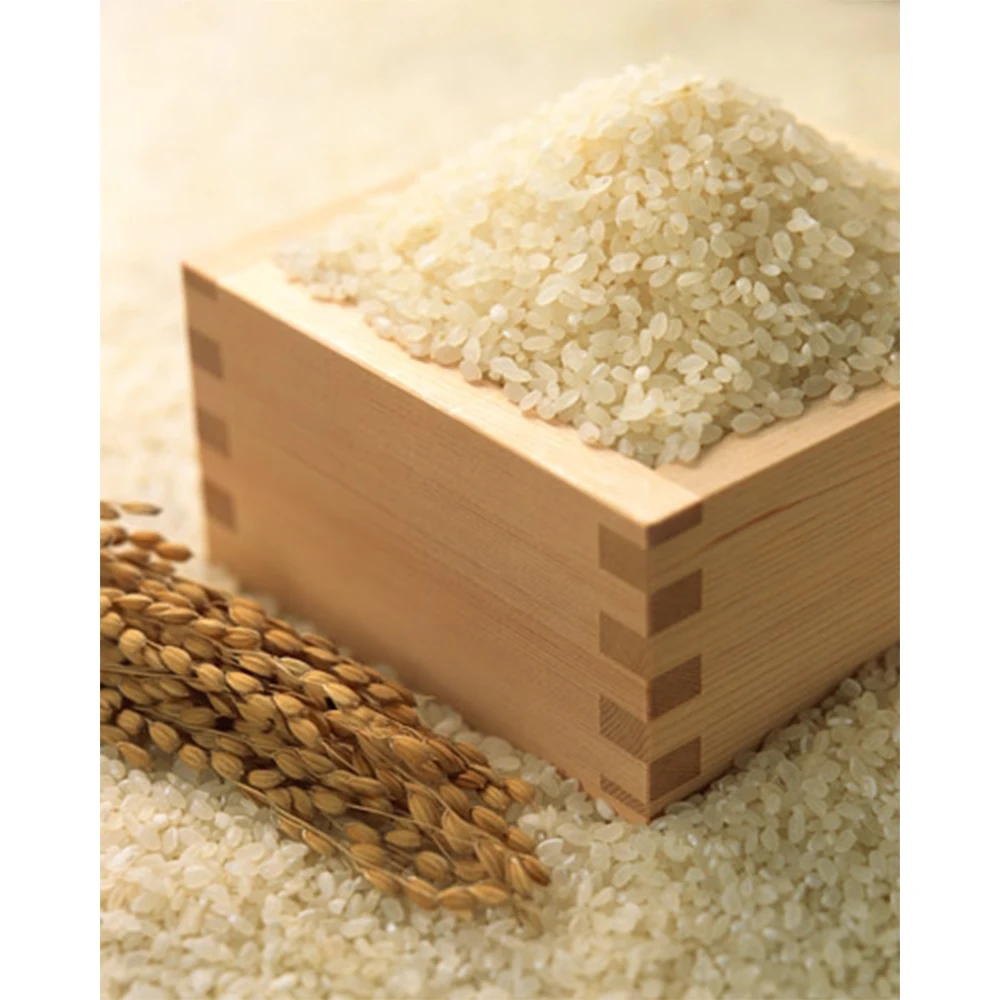 Vietnam Round Rice High Protein Japonica Rice Short Grain Hot sell Rice for Sushi