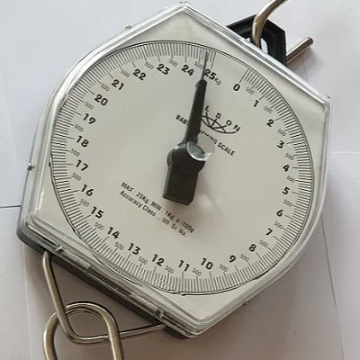Dial Type Hanging Weighing Scales
