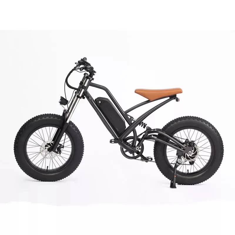 Hot sale 20 Inch Fat Tire Electric Bicycle Electric Mountain Bike  E-bike Electric Scooter With 36V 48V 13AH 350W500W750W Motor