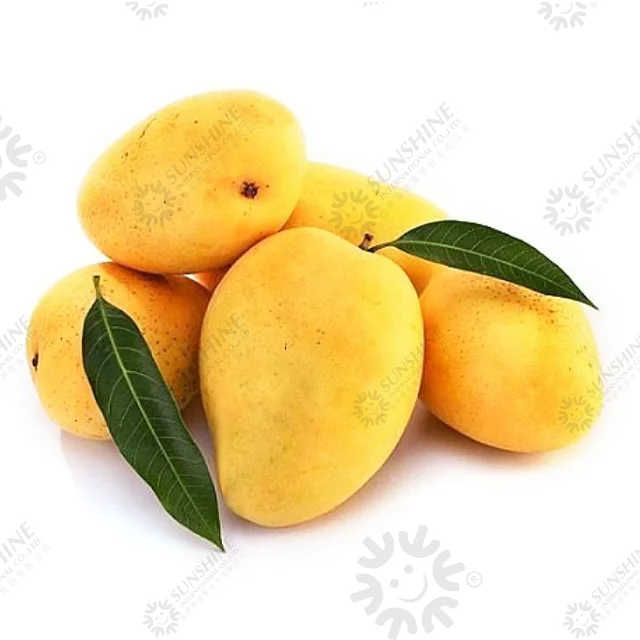 Fresh Natural Flesh Mango Blended Special Taste Organic Fruit Extract No Preservative Narcissus Mango Fruit Powder From Thailand