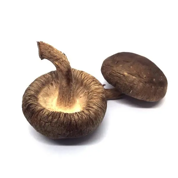
VIETNAM SHIITAKE MUSHROOM - DRIED - BEST PRICE (Whatsapp +84-845-639-639 - Ms.Holiday) 