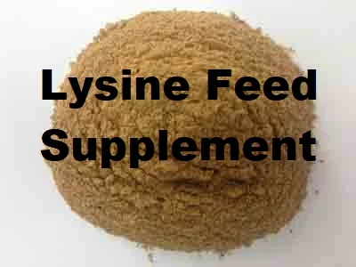 
Poultry Broiler Feed Raw Materials - L Lysine 25kg Bag L-lysine HCL 98.5% 