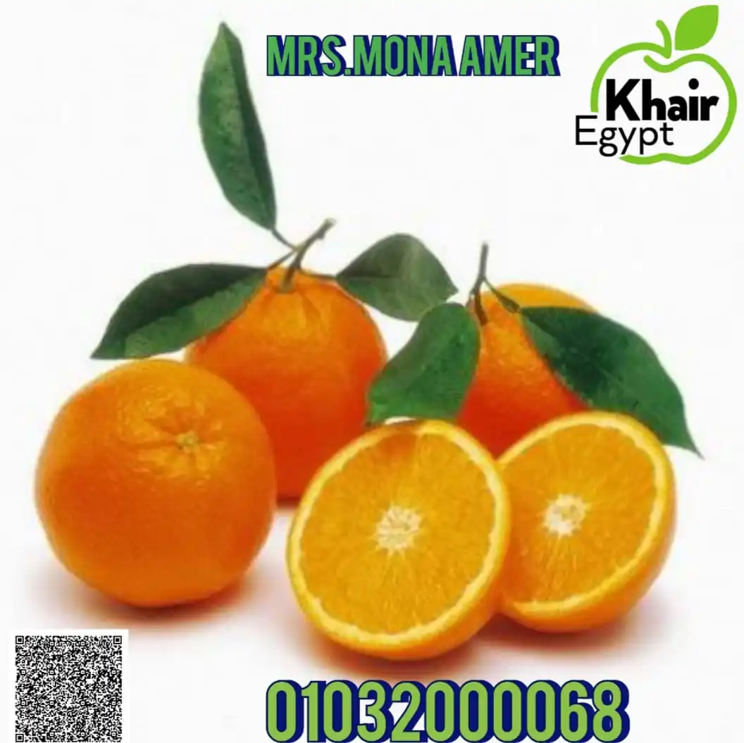 Оранжевый сорт A1 2021 по более низкой цене FOB, доступная для экспорта