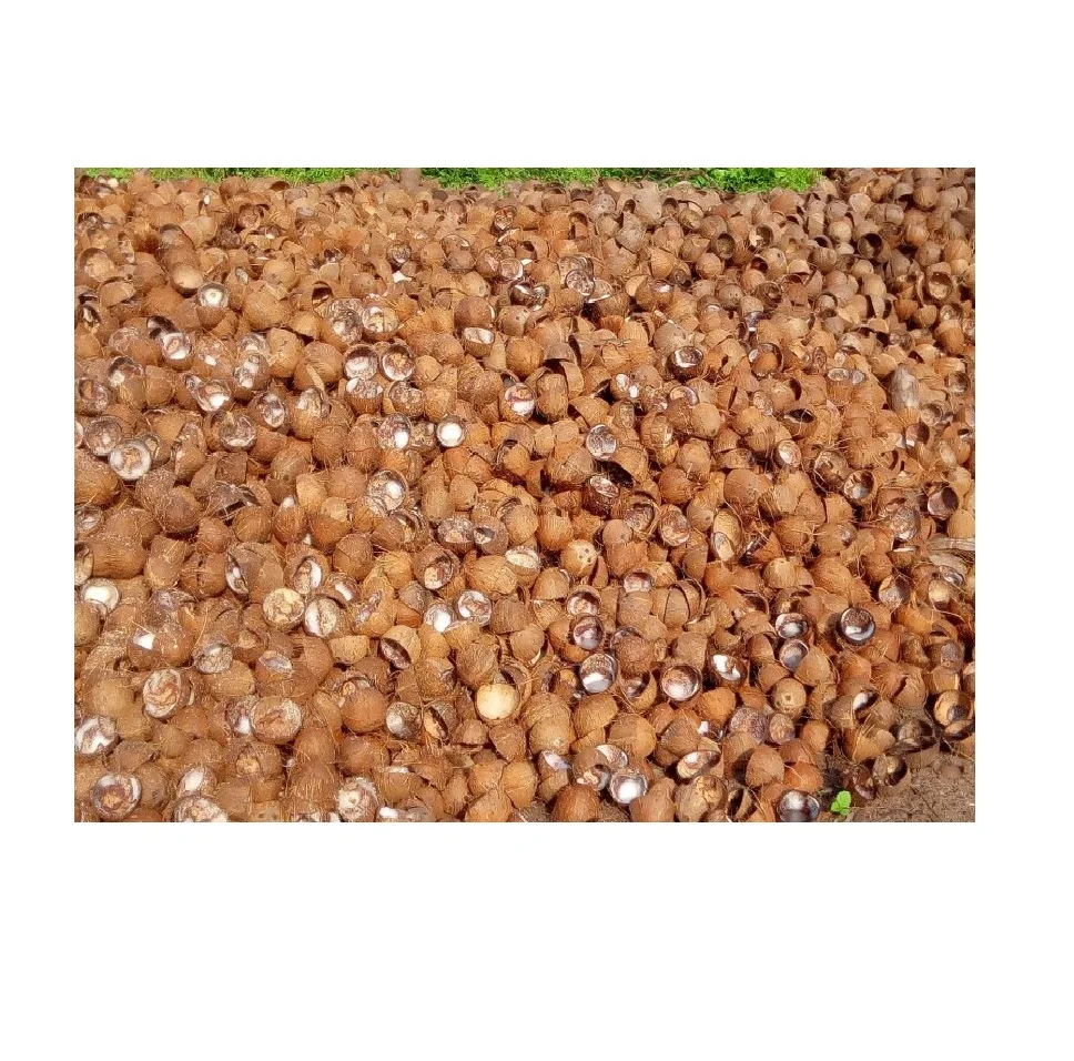 Недорогая сушеная Кокосовая Скорлупа/половина и дробленый тип (Angelina WA: +