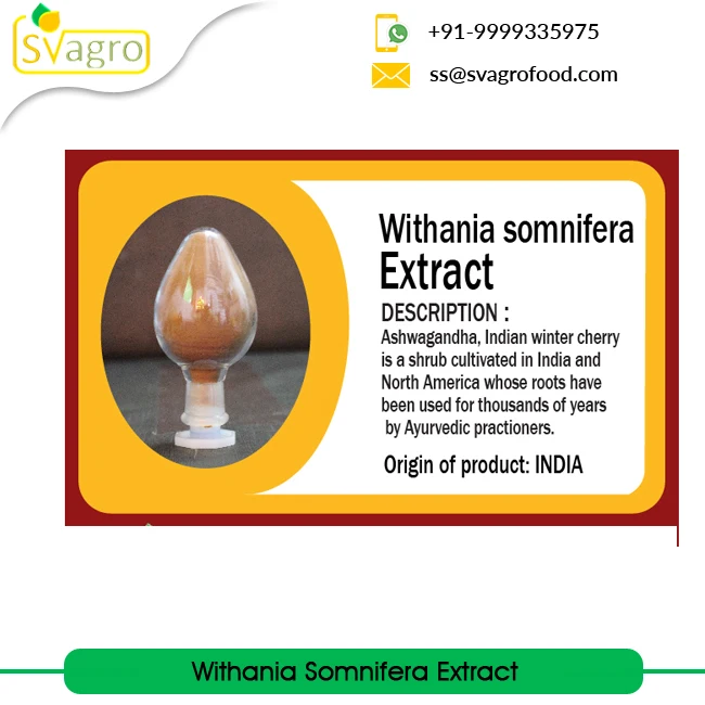 Withania Somnifera Extract Ashwagandha Extract at Wholesale Price Manufacturing Herbal Extract from India Root Powder Food 25 Kg