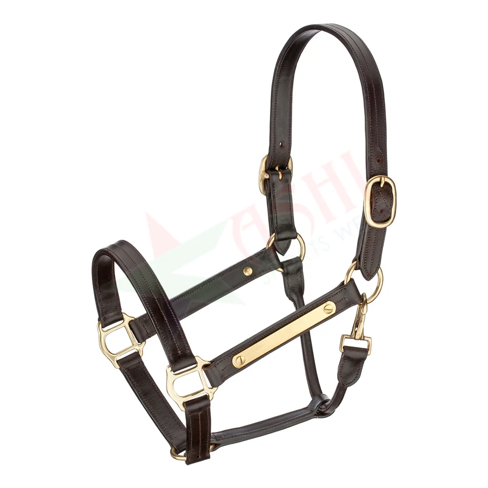 Design Your Own Leather Head Collar Halter Padded Leather Horse Halter
