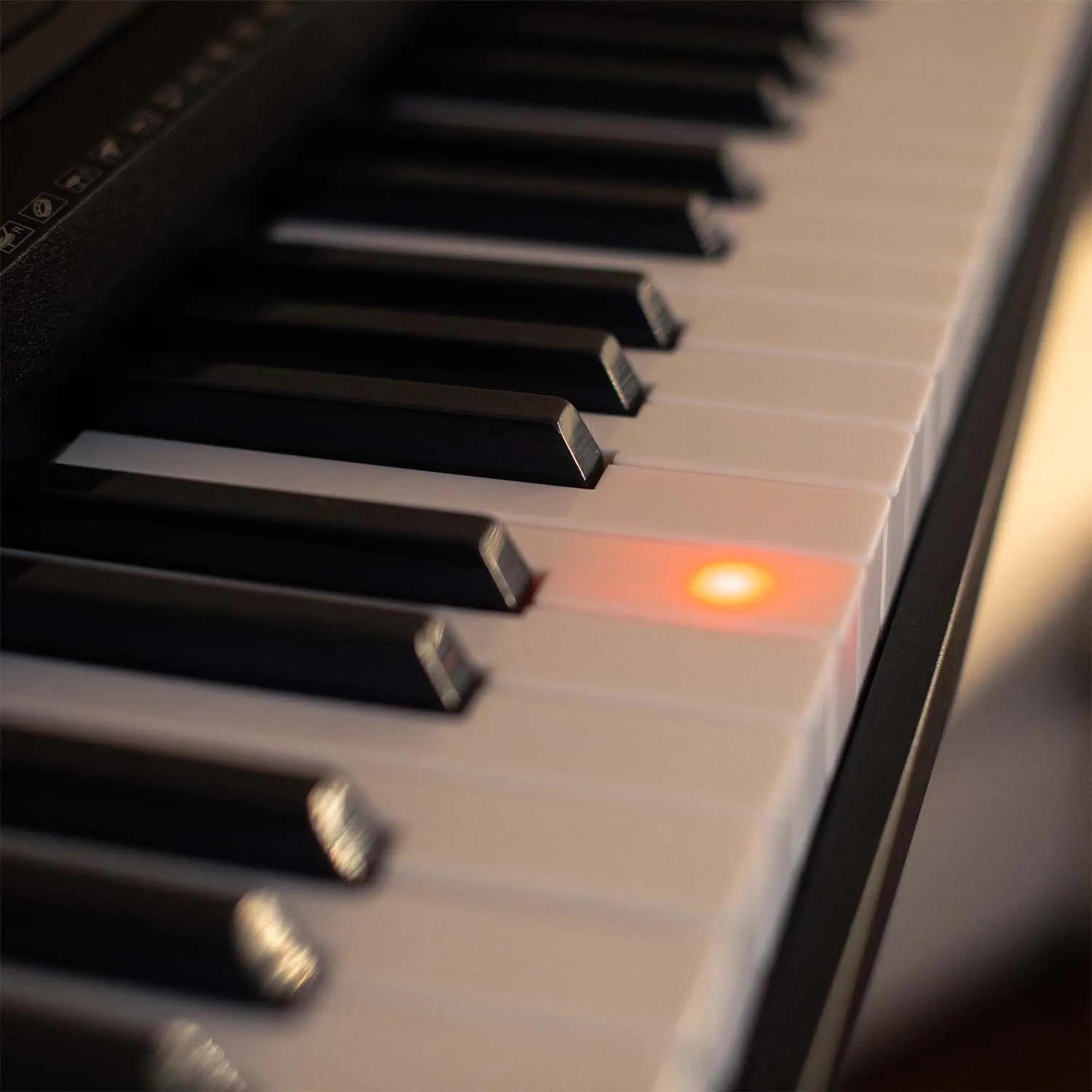 Axus AXP2L Light Up Portable Music Keyboard 61 Keys Touch Sensitive Lesson Function with Music Rest and Power Adaptor