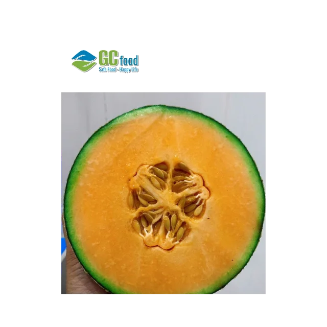 (GC Food) свежая Сладкая канталупа-канталупа дыня сладкие Органические свежие фрукты-100% зрелость из Вьетнама