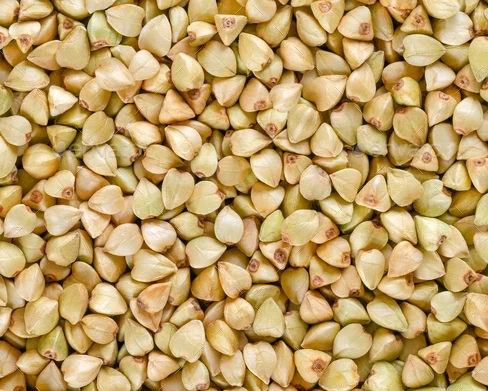 
 Свежий гречневый  