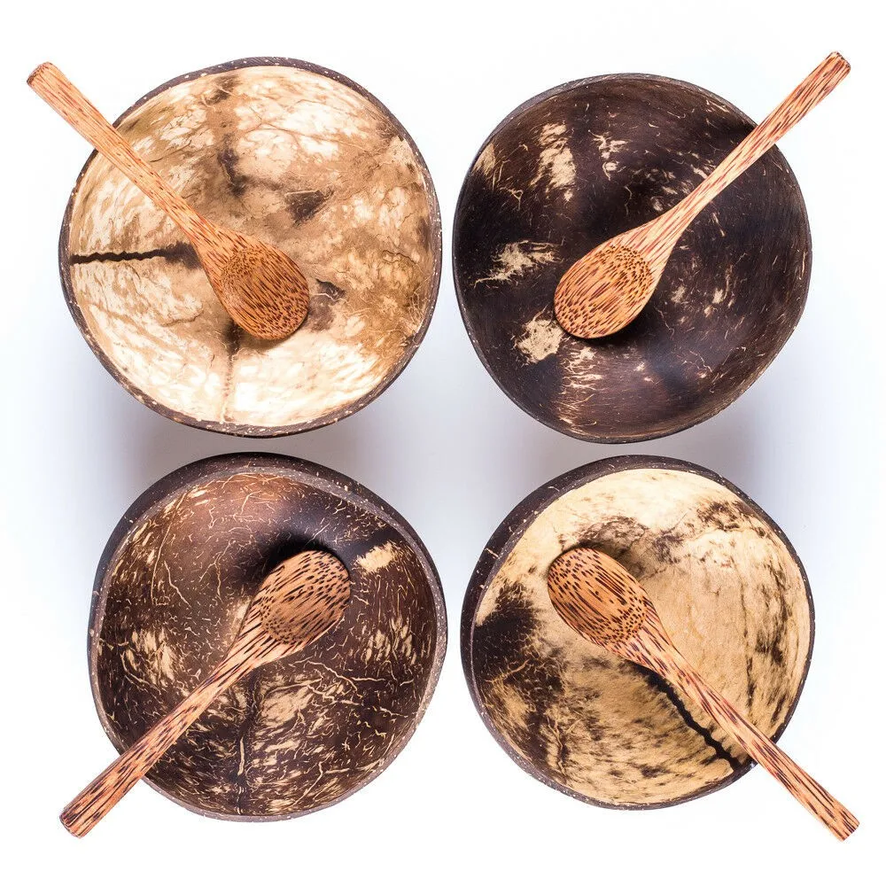 
Natural Eco friendly Coconut Bowl and Coconut Spoon 