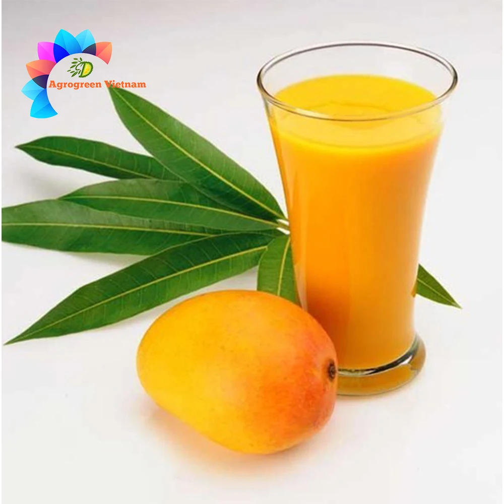 Wholesale High Quality Fruit Juice Concentrate Frozen Mango Juice Concentrate Tropical Fruit Juice