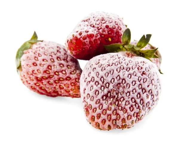 Dried /Fresh Frozen Strawberry,  Blue Berries ,  Berries in Bulk