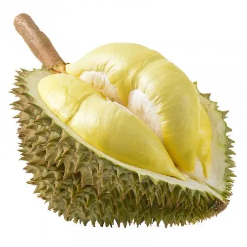 Лидер продаж свежий durians премиум класса из Таиланда от SP Organic International
