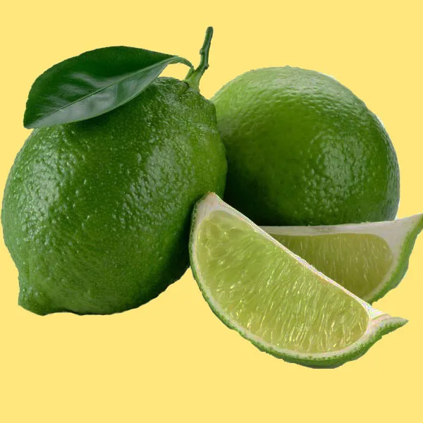 
high quality organic fresh limes green in bulk for exports with good price 