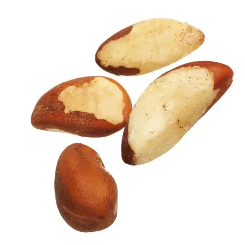 High Quality Brazil Nuts (1600171083411)