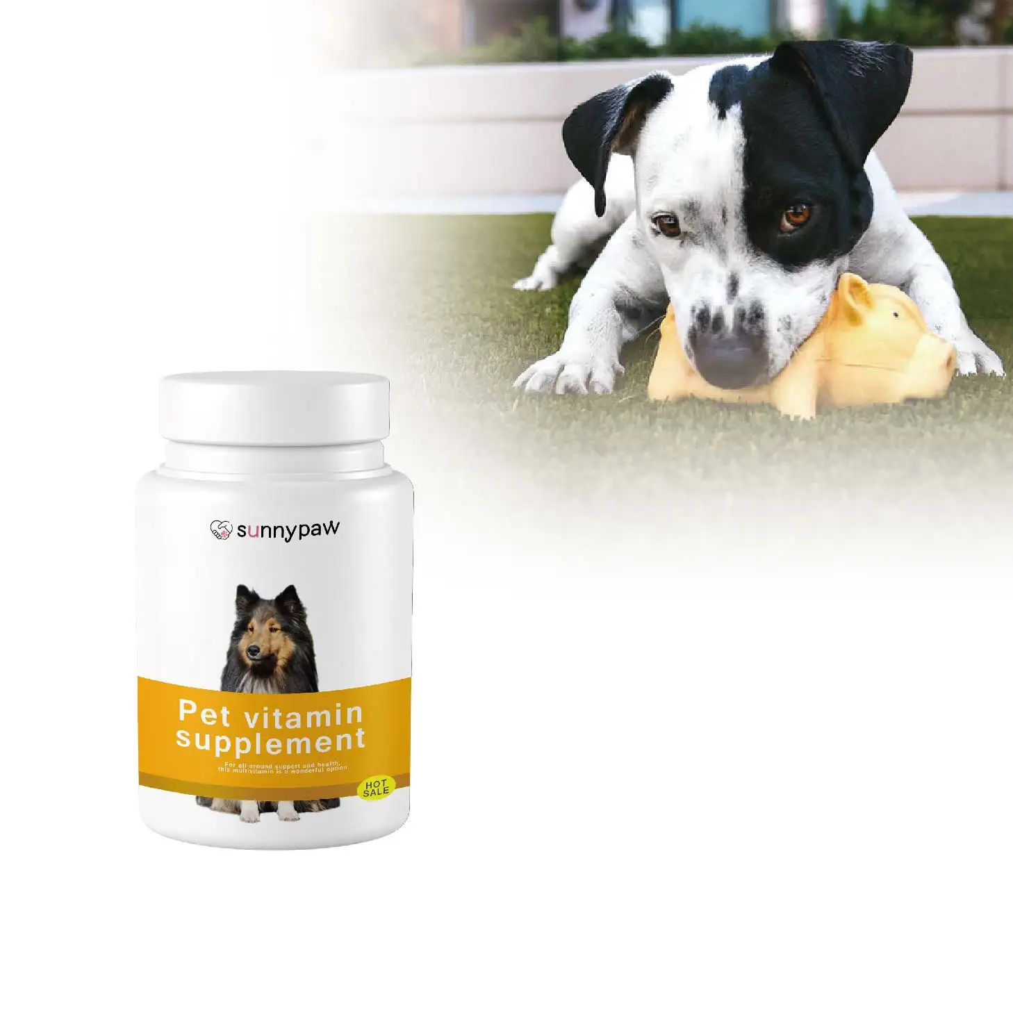 
Online order RTS Pet Health Care & Nutrition Supplements Cat Vitamins And Supplements  (1700002320078)
