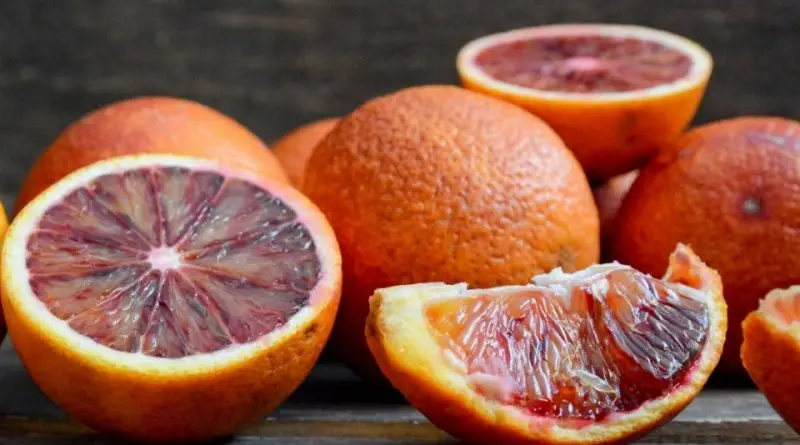 Wholesale fruit Sicily fresh ORANGE NAVEL TAROCCO RED VALENCIA NOVA NAVELINA MORO ARANCIA ROSSA di SICILIA