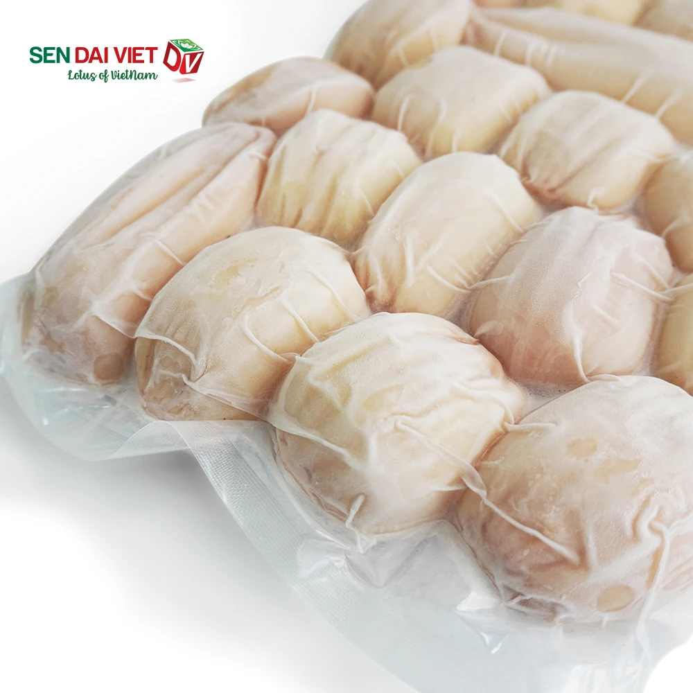 IQF Fresh Wholesale Frozen Frozen Lotus Root from Vietnamese manufacturer Grade I high quality root ISO and HACCP Certificate