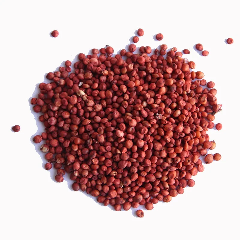 Quality Red Sorghum/White Sorghum For Sale