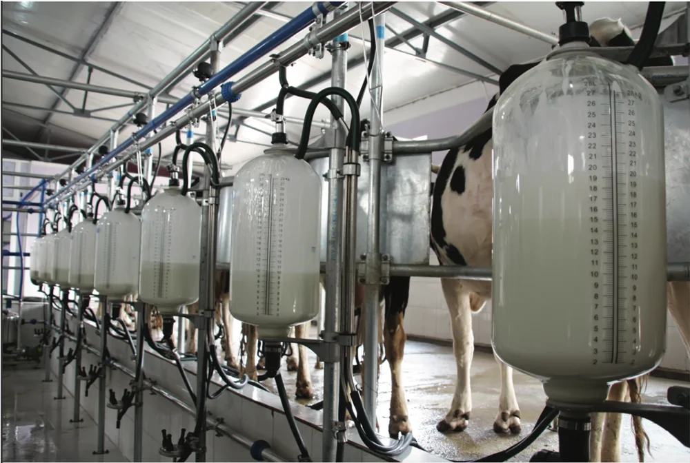 Partly Skimmed Milk Powder