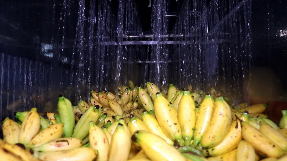 330 мл бутылка VINUT, сверкающий клубничный сок, напиток, Клубничная коробка, клубничный фрукт Oem