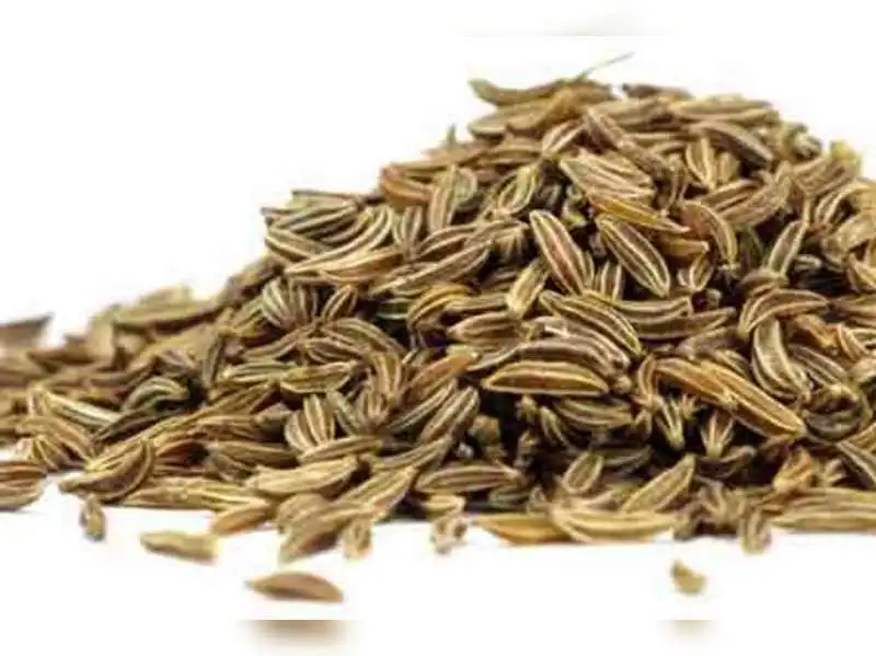EXPORTS QUALITY CUMIN SEEDS NATURAL CUMINUM CYMINUM