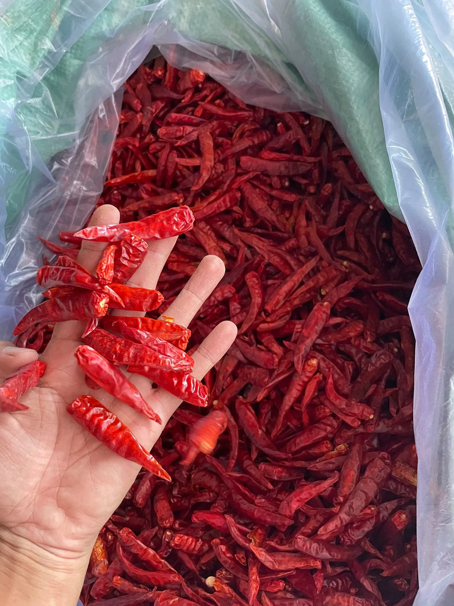 Красный горячий чили перец сухой красный