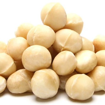 
Organic Macadamia Nuts very Cheap rate 