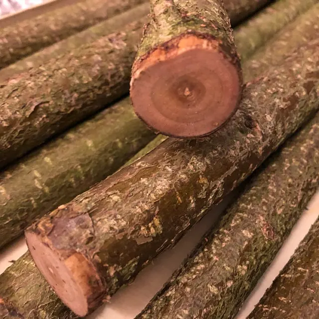 
Birch / Black Walnut / Red Oak Logs 30+ cm 