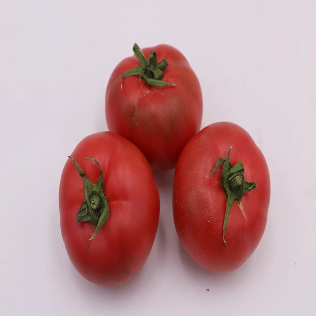 
Palate tomatoes 