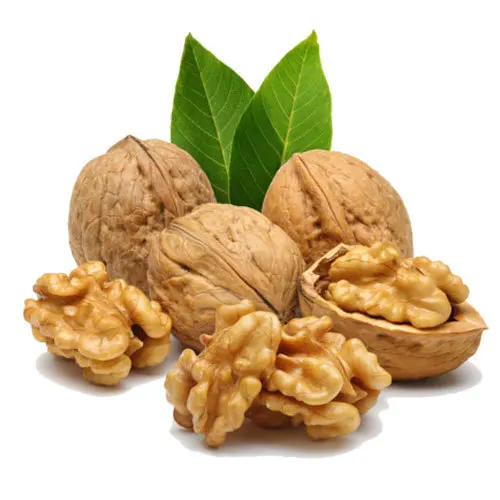 Bulk Wholesale Dried Fruit Walnut Kernel Light Amber Broken Walnut Prices Kernel for sale