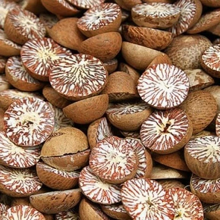 
Supplying Dried whole Areca nut/ Betel nut from Vietnam with high quality_vikafoods (WhatsApp/Wechat: + 84 983 028 718) 