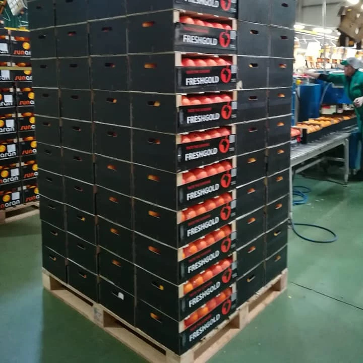 Свежие персики, свежие фрукты, свежие фрукты яблока Южной Африки