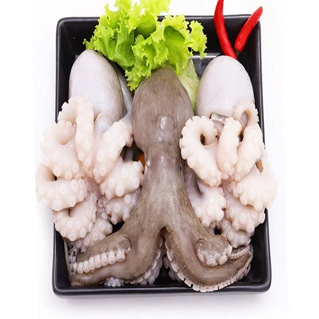 VIETNAM OCTOPUS SEAFOOD / BEST QUALITY (whatsapp +84 123 2425 473)