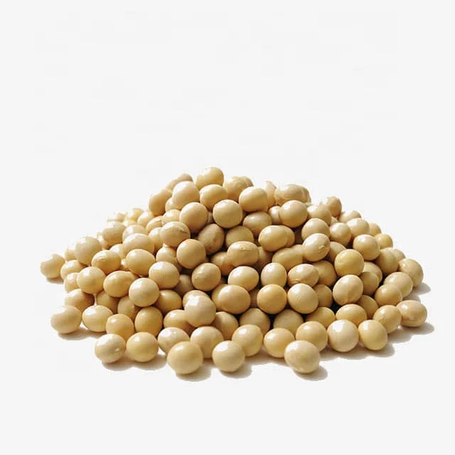 
NON GMO Soybeans For Human Consumption 
