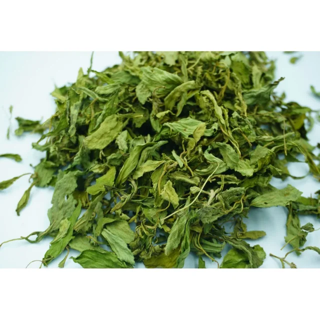The best product Dried Stevia Tea For Healthy Care From Thailand Origin Premium High Quality