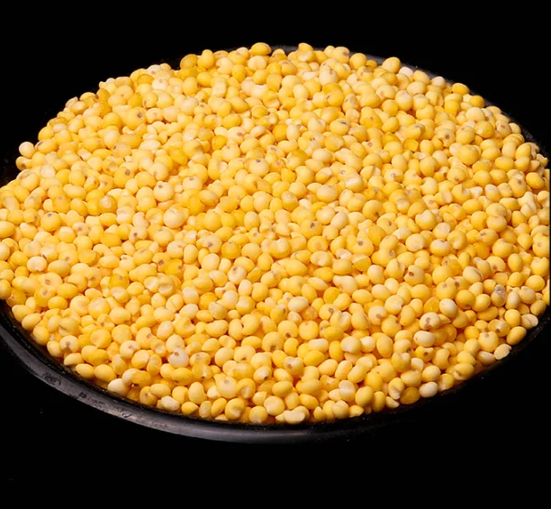 white millet 8.png