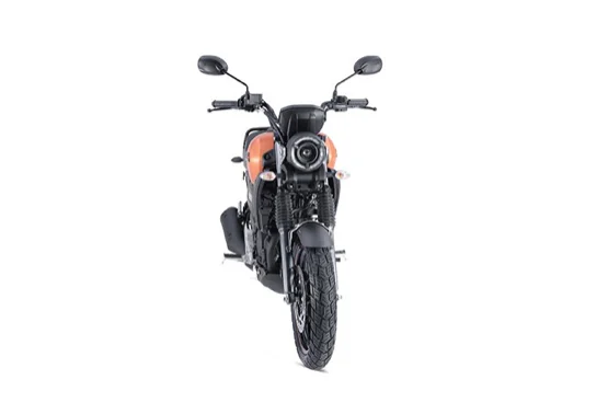 150CC FZ-X-Новый NEO Ретро дизайн мотоцикл из Индии