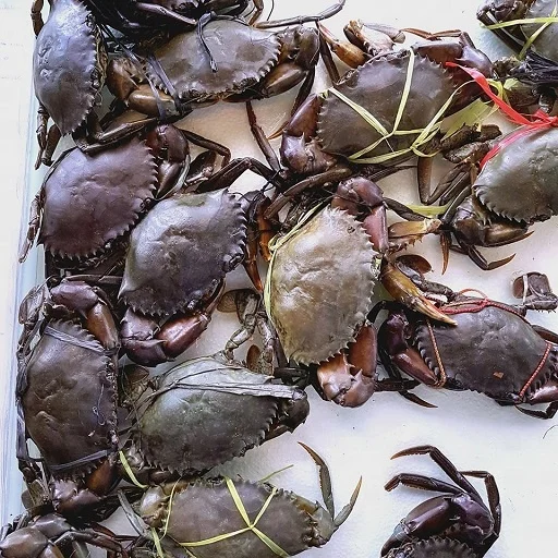 Высококачественный живой кокосовый Краб/живые грязевые крабы/Живой Королевский краб