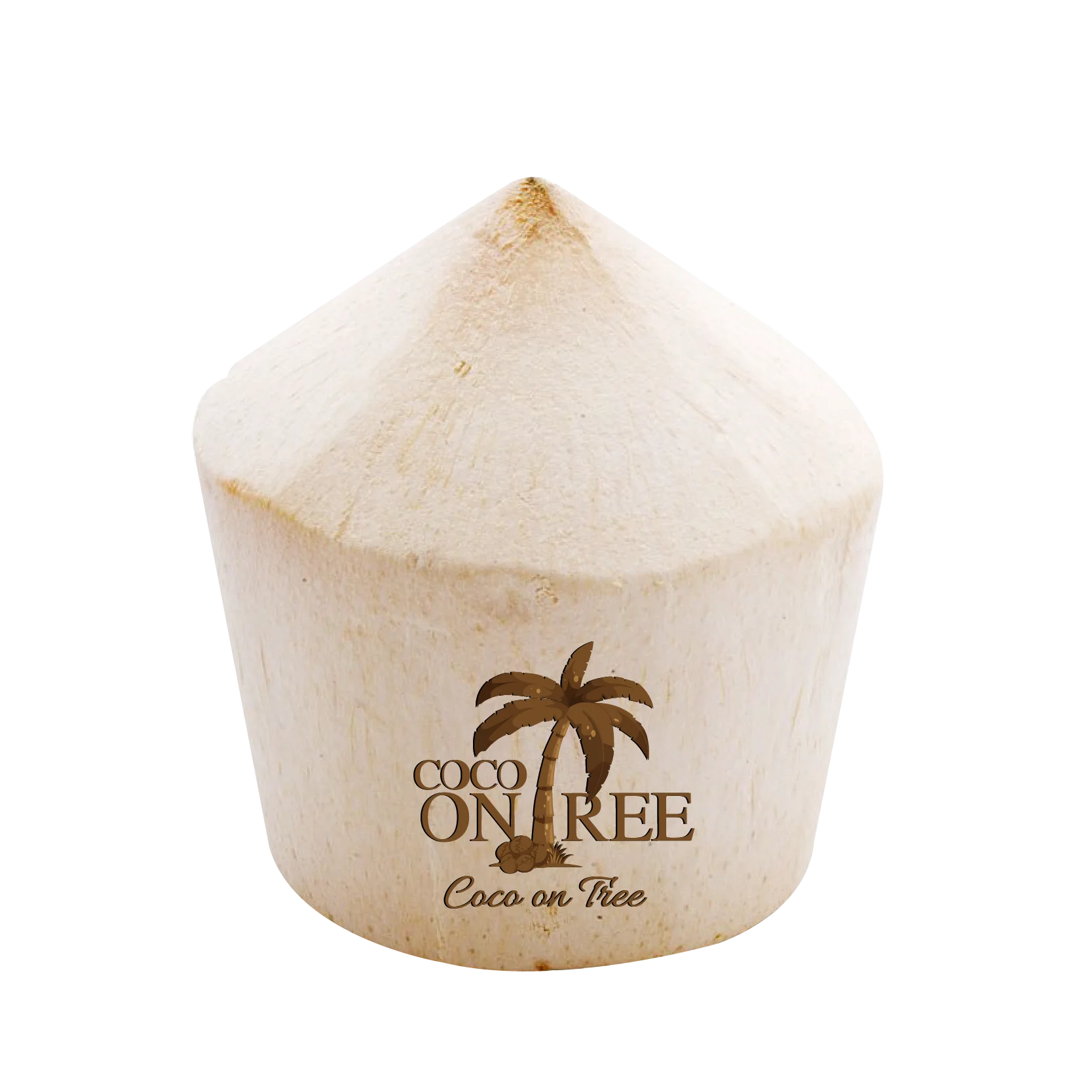 Здоровый напиток молодой свежий сладкий кокос для продажи из таиланда высокого качества