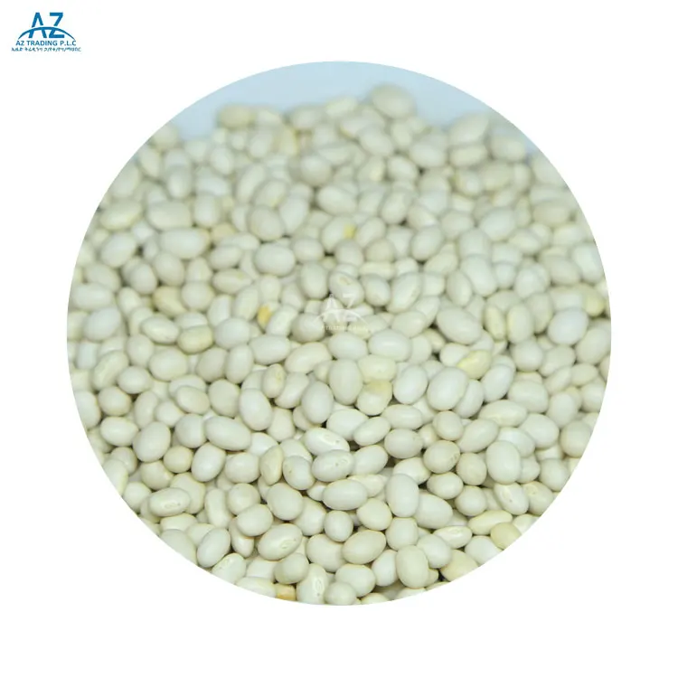 White Pea Beans White Kidney Beans Wholesale Navy for Canned Long Shape Dry Ethiopian Beans Non-GMO New Harvest Crop 2021