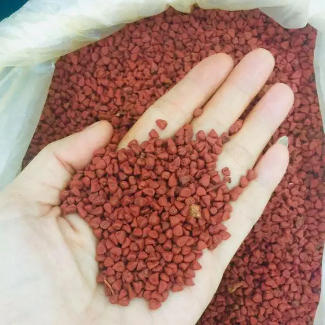 Семена аннато семена карри Roucou // Нэнси Нгуен + 84 337 628 959