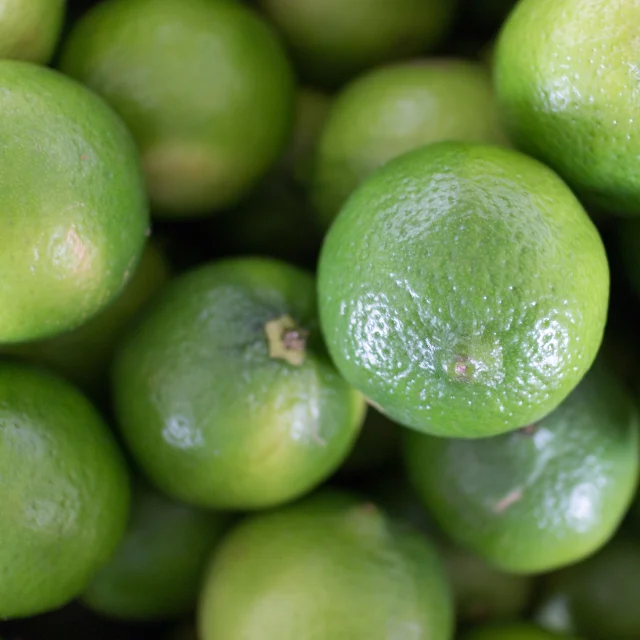 Seedless Lime Fresh Citrus Fruit High Quality Brand Manufacturer Wholesaler Cheap Price Low MOQ Best Selling From Vietnam