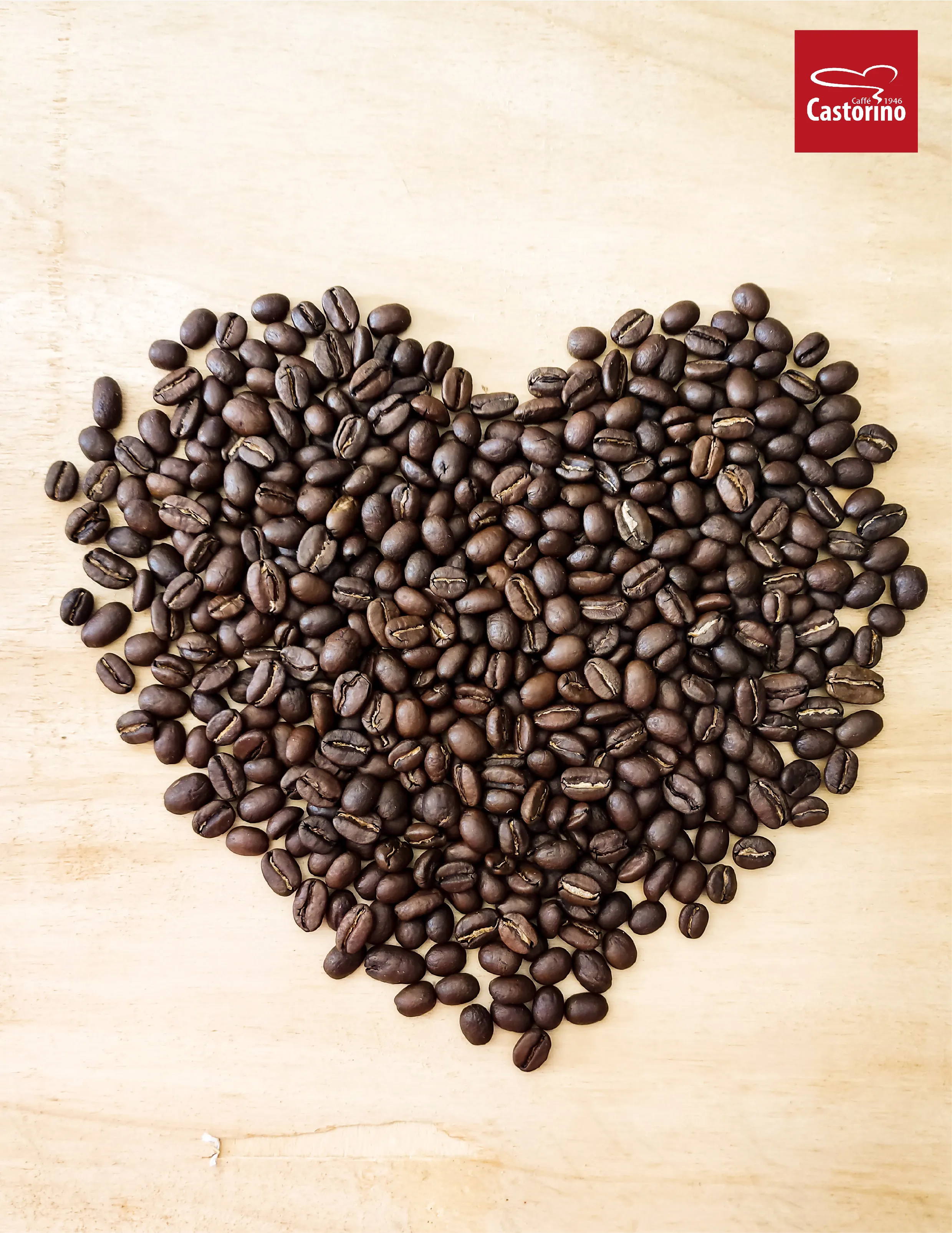 Высококачественная смесь кофейных зерен золото ARABICA Caffe Castorino 100% для дома/HO.RE.CA.