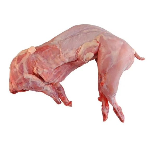 
Skinned Frozen Whole Rabbit Meat and Boneless Rabbit Meat Cuts From Europe For Sale 