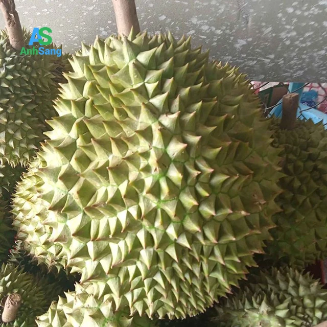  Свежий дуриан экспорт китай